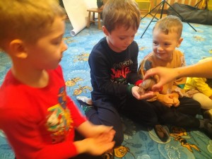 IMG20231120110515